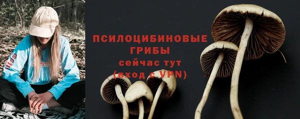 герыч Гусев