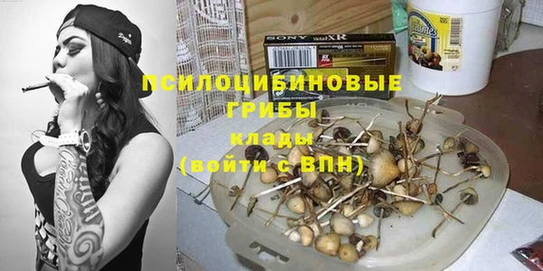 МДПВ Дмитровск