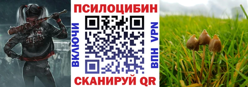 Галлюциногенные грибы Psilocybine cubensis  Купить где  Мантурово 